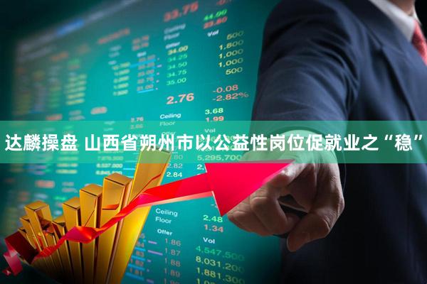 达麟操盘 山西省朔州市以公益性岗位促就业之“稳”