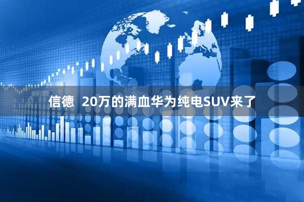 信德  20万的满血华为纯电SUV来了